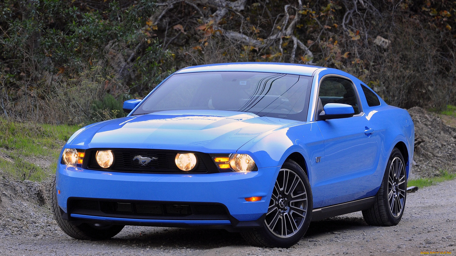 , mustang